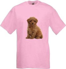 Toy Poodle Brown Dog Pet Family Novelty T Shirt Various Colours And Sizes