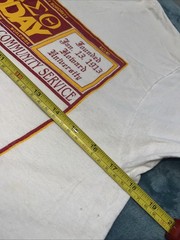 Vintage Fruit On The Loom 80’s DELTA SIGMA THETA T SHIRT Made In USA