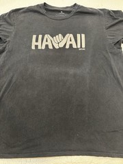 Men’s Ripcurl Rip Curl Standard Fit Cotton TShirt XL Hawai’i (discoloration)