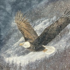 Nature Shirt Mens Large Bald Eagle Winter Scene Washed Blue The Mountain