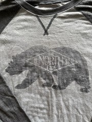The North Face Gray/Black Graphic Print Logo Crew Neck Long Sleeve T-Shirt L/G