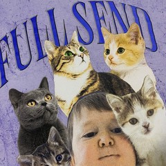 Full Send Hasbulla Kittens Tie Dye Shirt Adult Large Purple Cats Kitty Nelk Boys