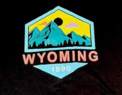 Home Free Brand Mens XL Black Travel Wyoming Graphic T-Shirt