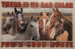 VINTAGE NO BAD COLOR HORSES WHITE SHIRT SIZE S-XL (FRONT PRINT)#2958
