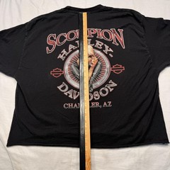 Harley-Davidson Shirt Mens Large Black Skull Scorpion Chandler AZ Pinup Cropped