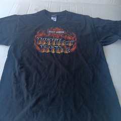 Vintage Y2K Harley Davidson Fairbanks Alaska Graphic T-Shirt Hanes Beefy L 2003