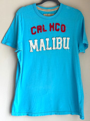 Y2K Hollister HCO Malibu Blue Tee Shirt Adult Size XL Distressed Standout Logo