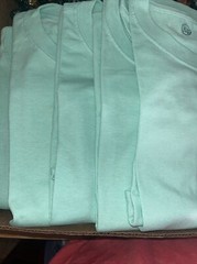 Pack Of 5 Hanes 5280 Mens Short Sleeve Essential 100% Cotton T-Shirt Mint
