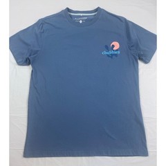 Chubbies Mens Sky’s Out Thighs Out Graphic T-Shirt Blue Medium Cotton Blend