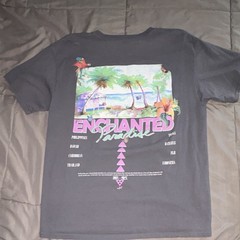 PacSun Men’s L Gray Enchanted Paradise Graphic Crew Neck Cotton Jersey Tee