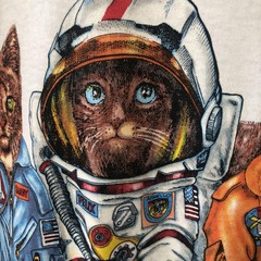 NASA Cats Shirt Mens 2XL White Delta Houston Texas Space Astronaut Graphic Tee