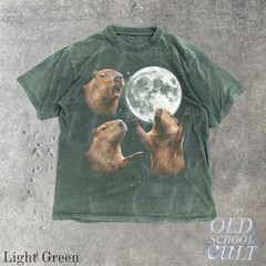 Vintage Capybara Galaxy Animal Graphic Comfort Tee
