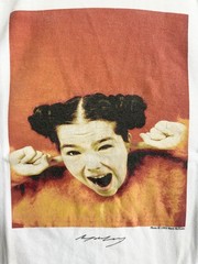 Rare Mark McNulty × Journal Standard Björk Photo Size L Tee