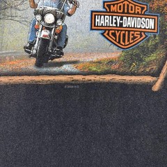 Harley-Davidson Shirt Mens 2XL Black Fall Ride Northern Lights Graphic 2009