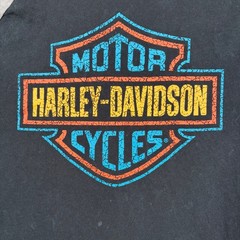 Harley-Davidson Long Sleeve Henley Shirt Black Gray Raglan Graphic Women’s Sz L