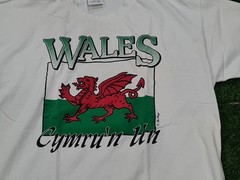 90’s CYMRU WALES UNITED KINGDOM DRAGON SINGLE STITCH T-SHIRT SIZE XL (23×30) USA