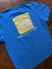 The North Face Box Logo ~ Never Stop Exploring ~ Soft ~ T-shirt Mens L Teal Blue