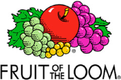Fruit of the Loom® Big Men’s 4 CREWS TEE 3XL “100% Cotton~Slightly Imperfect”