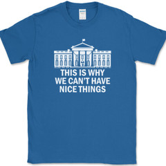 Why We Can’t Have Nice Things T-Shirt Funny Anti Government Political Tee
