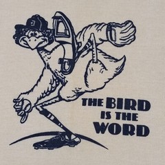 Youth Vtg 70s Mark Fidrych Detroit Tigers The Bird T-Shirt 18-20 XL Slim