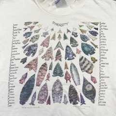 Vintage Hanes Beefy-T Shirt Mens Large White Diversity Arrowheads Graphic 1996