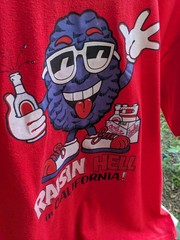 VINTAGE 80s California Raisin Style Raisin Hell In California T-shirt Large Red