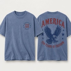 Comfort Colors America Eagle Shirt, 250th Anniversary Tee, Patriotic Western Shi