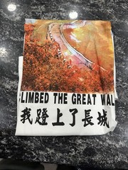I Climbed The great Wall Of China T Shirt Size 105?