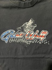 GREAT WOLF LODGE BLACK T-SHIRT GRAPHIC MENS SIZE M (The Duck CO.)