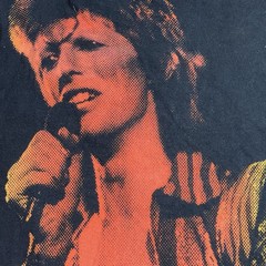 David Bowie Ziggy Stardust Black Graphic Muscle Tee Shirt Cut Off Sleeves Small
