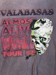 Valabasas Almost Alive World Tour T Shirt Mens Small Gray Graphic Skull