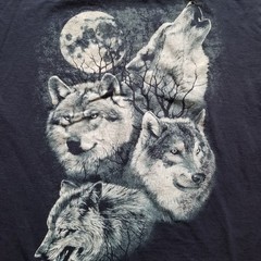 Howling Wolves Moon Graphic T-Shirt Mens M Fruit of the Loom Blue Cotton T-Shirt