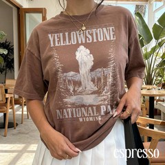 Vintage Yellowstone National Park Comfort Tee