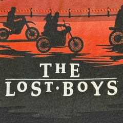 THE LOST BOYS David Licensed 80s Horror T-Shirt. SMALL Preowned NV