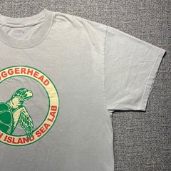 Vintage Dauphin Island Sea Lab Loggerhead Turtle T Shirt Grey XL Hanes Beefy T