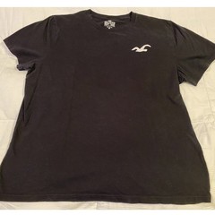 Hollister Men’s Short Sleeve Crew Neck Must-Have Tee Logo icon T-Shirt XL