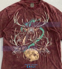 Moose Wildlife Northern Lights Aurora Comfort Tee