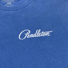 Pendleton Shirt Mens Medium Blue Graphic Tagless Made In Nicaragua Woolen Mills