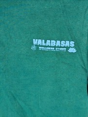 Mens VALABASAS VINTAGE WELLNESS T Shirt Green Size XSmall