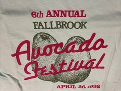 Vintage 90s Fallbrook California T-shirt Avocado Festival Tee Retro Size Small