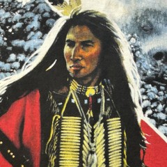 VTG Tennessee River Native American Warrior T Shirt Mens L Single Stitch Tye Dye