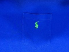 Polo Ralph Lauren Blue Tshirt Green Pony Preppy Men’s Sz L