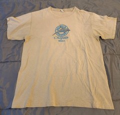 Lot of 10 Men’s Size M Random Various Brands T-shirts