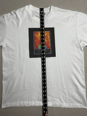 Vintage 80s Hanes 50/50 Global Warming Earth Climate Change T-Shirt Men’s Large