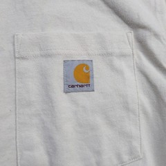 NEW Carhartt Relaxed Fit Heavyweight Long Sleeve T-Shirt Mens M Mountain Graphic