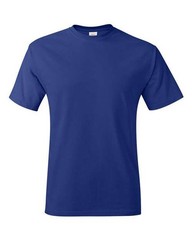 Hanes 5250 Unisex Authentic T-Shirt