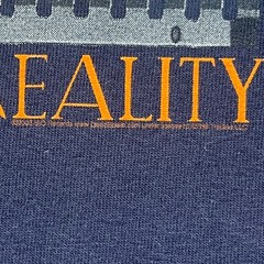DAVID BOWIE REALITY TOUR T SHIRT MENS L LARGE ANVIL CONCERT VINTAGE RARE Y2K