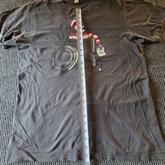 Shirt Woot Where’s Waldo “I Win” Humor Shirt Men’s Size Large