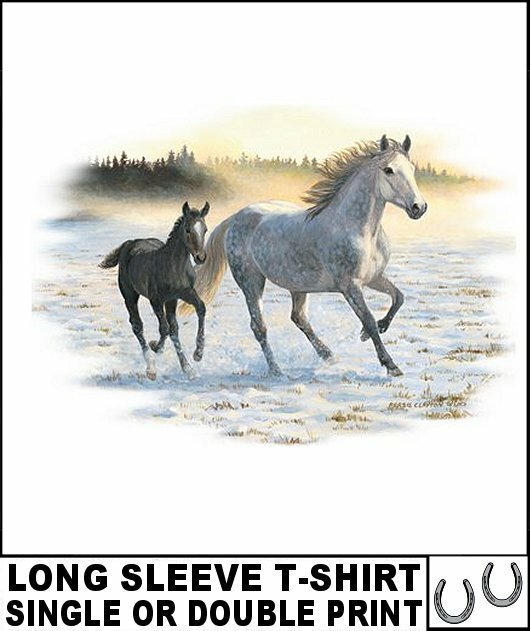BEAUTIFUL WILD ANDALUSIAN MUSTANG MORGAN HORSE COLT LONG SLEEVE T-SHIRT AB352