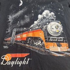 Daylight Sales Trains Authentic Railroad Clothing T-Shirt Youth L Glow In The D